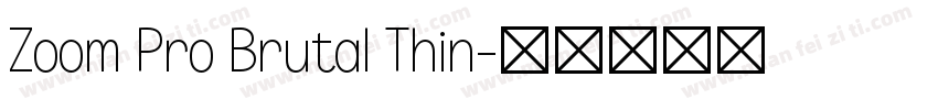 Zoom Pro Brutal Thin字体转换
